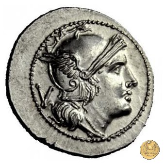 103/2 - MT 211-210 BC (Apulia)