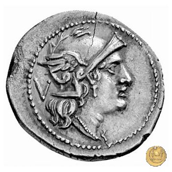 103/2 - MT 211-210 BC (Apulia)