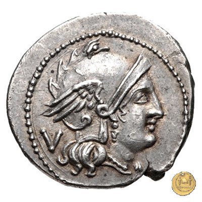 103/2 - MT 211-210 BC (Apulia)