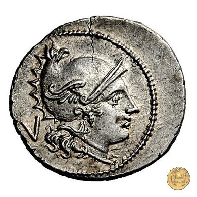 103/2 - MT 211-210 BC (Apulia)