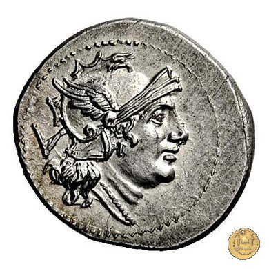 103/2 - MT 211-210 BC (Apulia)