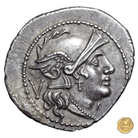 103/2 - MT 211-210 BC (Apulia)