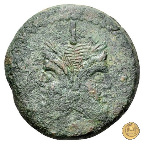 106/4 - asse 208 BC (Etruria ?)