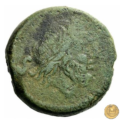 106/5 - semisse 208 a.C. (Etruria ?)