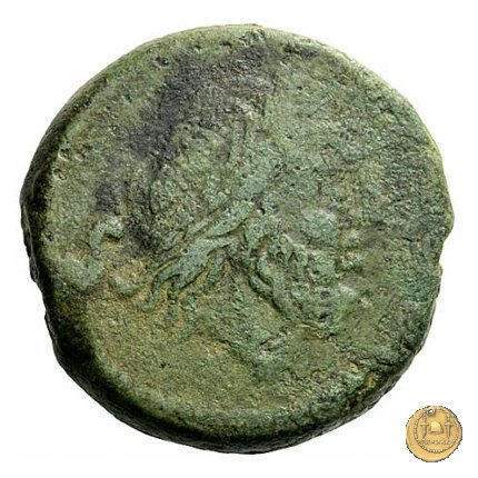 106/5 - semisse 208 BC (Etruria ?)