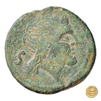 106/5 - semisse 208 BC (Etruria ?)