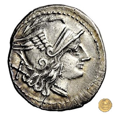 111/1 - denario Aelius 211-208 BC