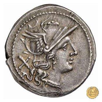 113/1 - stella (star) 206-195 BC (Roma)