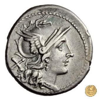 113/1 - stella (star) 206-195 BC (Roma)