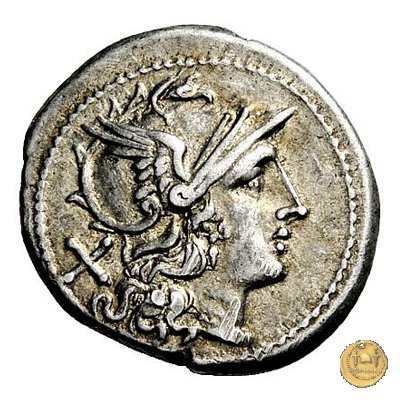 113/1 - stella (star) 206-195 BC (Roma)