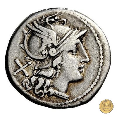 113/1 - stella (star) 206-195 BC (Roma)