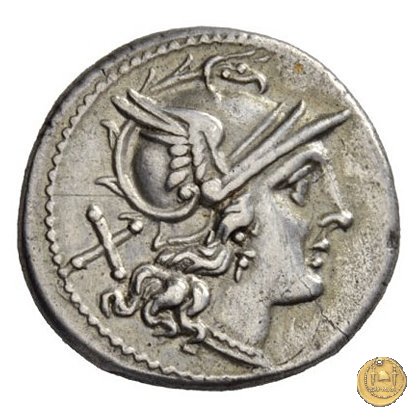 113/1 - stella (star) 206-195 a.C. (Roma)