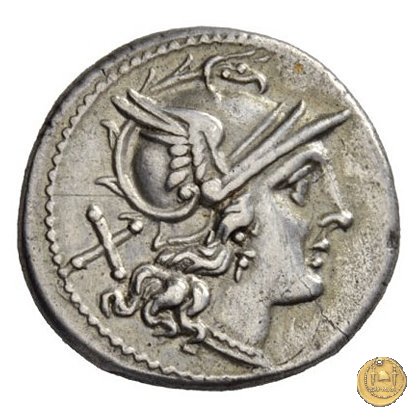 113/1 - stella (star) 206-195 BC (Roma)