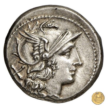 113/1 - stella (star) 206-195 BC (Roma)