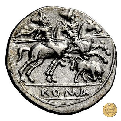 116/1 - toro scalpitante (butting bull) 206-195 BC (Roma)