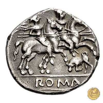 116/1 - toro scalpitante (butting bull) 206-195 BC (Roma)