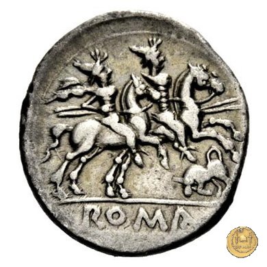 116/1 - toro scalpitante (butting bull) 206-195 BC (Roma)