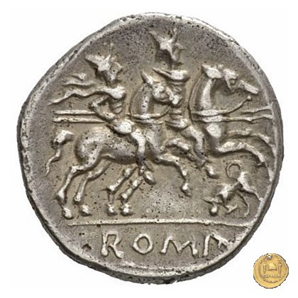 116/1 - toro scalpitante (butting bull) 206-195 BC (Roma)