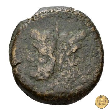 118/1 - asse 206-195 a.C. (Roma)
