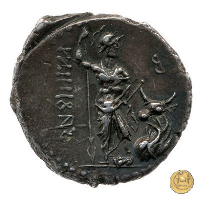 11 - Guerriero e toro 89-88 BC (Aesernia ?)