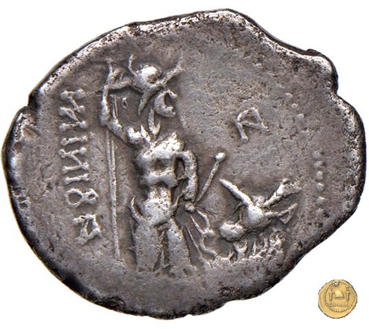 11 - Guerriero e toro 89-88 BC (Aesernia ?)