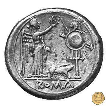 121/1 - scrofa (sow) 206-195 BC (Roma)