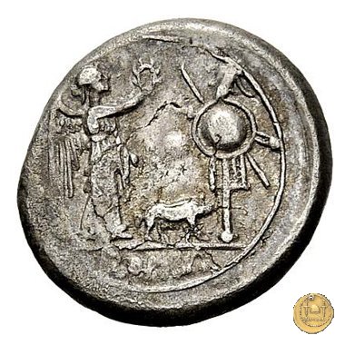 121/1 - scrofa (sow) 206-195 BC (Roma)