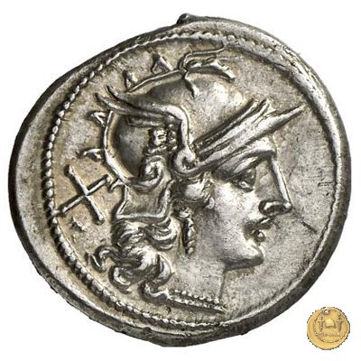 121/2 - scrofa (sow) 206-195 BC (Roma)