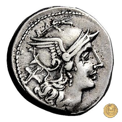121/2 - scrofa (sow) 206-195 a.C. (Roma)