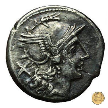 121/2 - scrofa (sow) 206-195 BC (Roma)