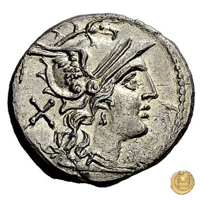 121/2 - scrofa (sow) 206-195 BC (Roma)