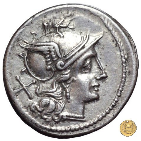 121/2 - scrofa (sow) 206-195 BC (Roma)