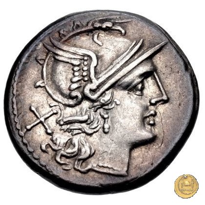 121/2 - scrofa (sow) 206-195 BC (Roma)