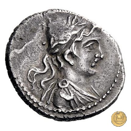 12 - Minerva su biga 88-87 BC (Campania ?)