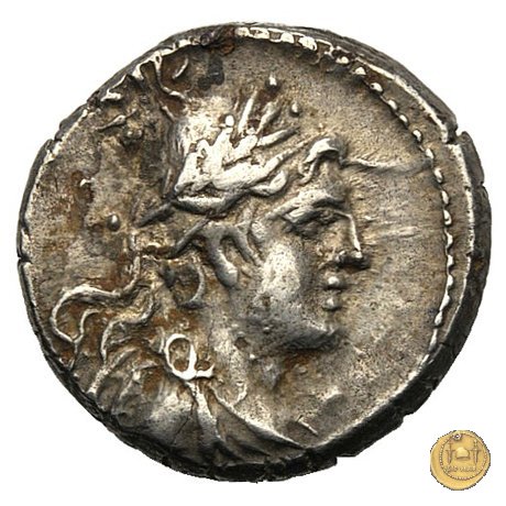 12 - Minerva su biga 88-87 BC (Campania ?)