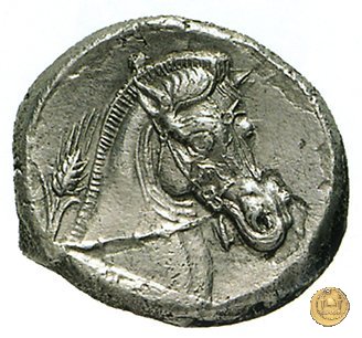 13/1 310-300 BC (Metapontum?)