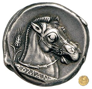 13/1 310-300 BC (Metapontum?)