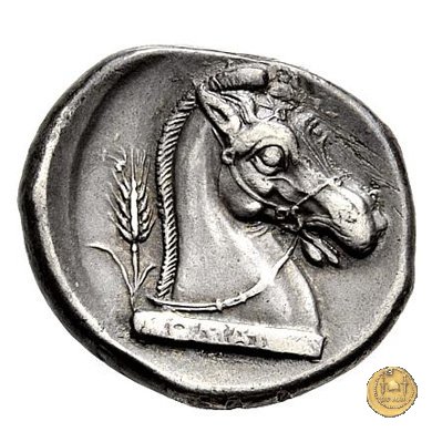 13/1 310-300 BC (Metapontum?)