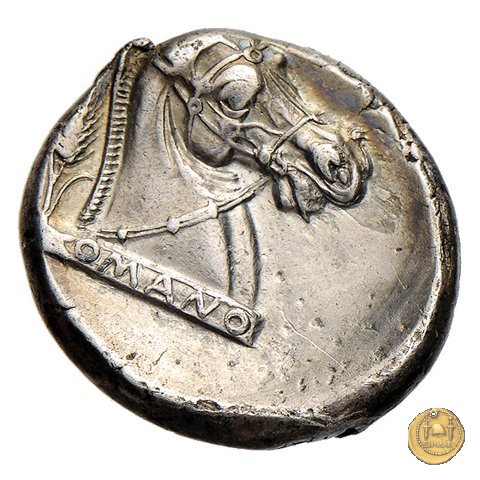 13/1 310-300 BC (Metapontum?)