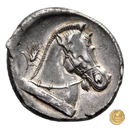 13/1 310-300 BC (Metapontum?)