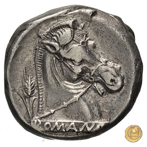 13/1 310-300 BC (Metapontum?)