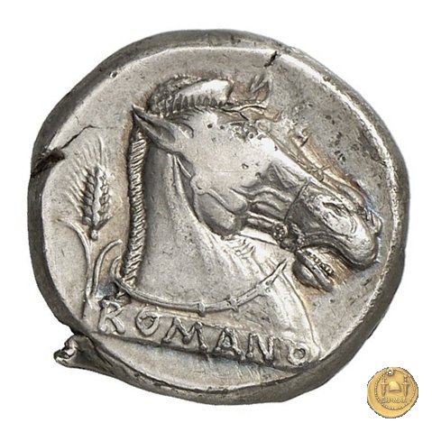13/1 310-300 BC (Metapontum?)
