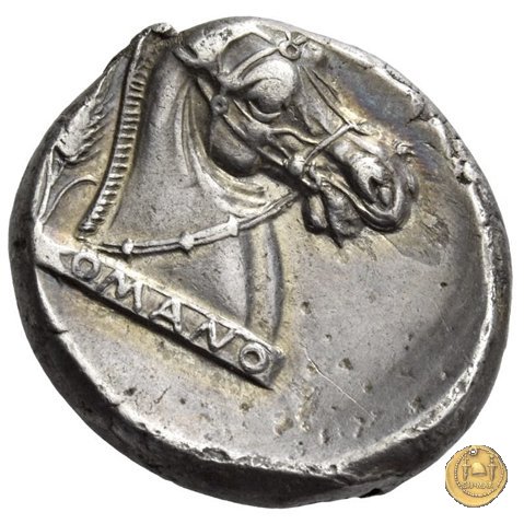 13/1 310-300 BC (Metapontum?)