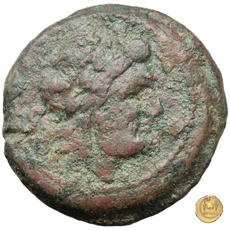 133/5 - semisse Cn. Baebius Tamphilus 194-190 BC (Roma)