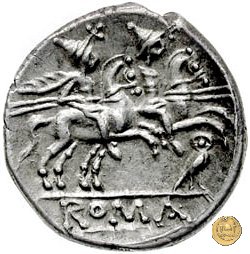 135/1 - civetta (owl) 194-190 BC (Roma)