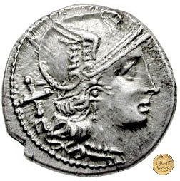 135/1 - civetta (owl) 194-190 BC (Roma)