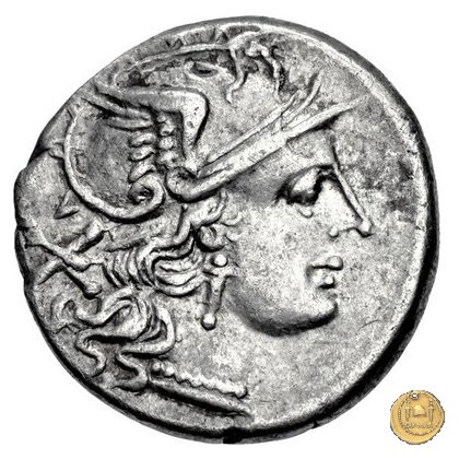 135/1 - civetta (owl) 194-190 BC (Roma)