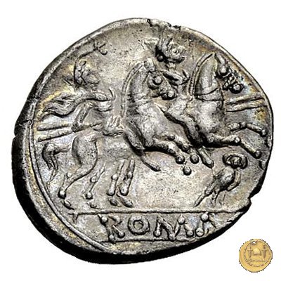 135/1 - civetta (owl) 194-190 BC (Roma)