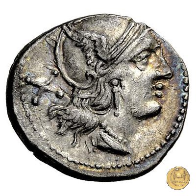 135/1 - civetta (owl) 194-190 BC (Roma)