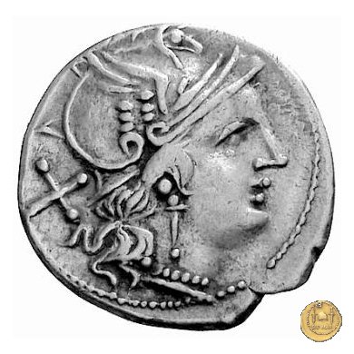 135/1 - civetta (owl) 194-190 BC (Roma)